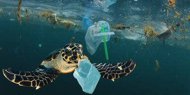 Mülldrama auf hoher See: 171.000.000.000.000.000.000 Plastikteilchen vernichten die Ozeane