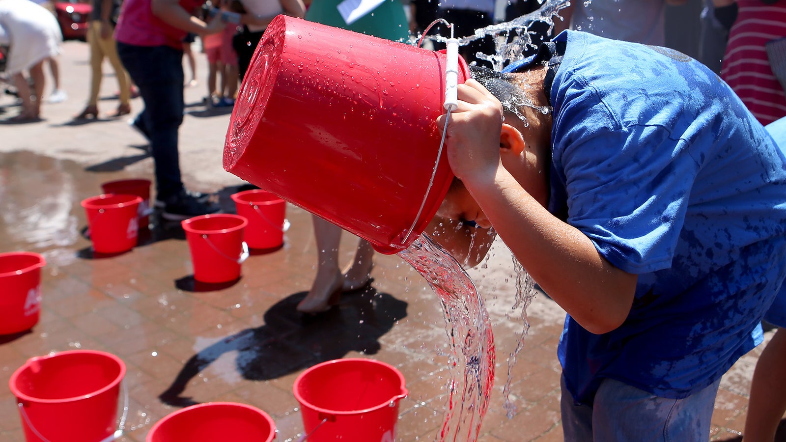 So viel Millionen brachte die IceBucket Challenge ein oe24.at