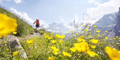 Österreichs schönste Frühlings-Wanderwege