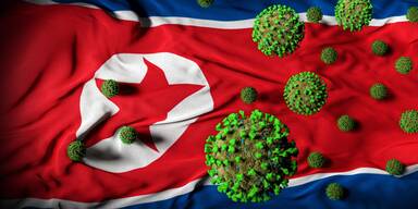 Nordkorea Flagge und Virus