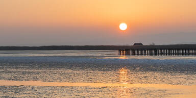 NeusiedlerSee