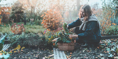 Garten-To-Dos im Herbst: Gut gerüstet für die Gartensaison 2025