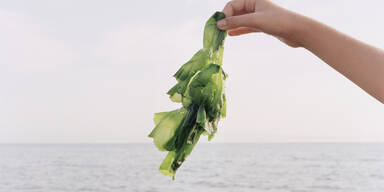 Algen: Das steckt hinter dem Beauty-Hype