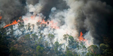 BrasilienWaldbrand