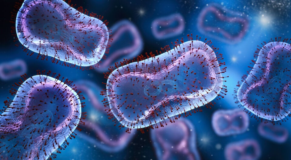 „Superbug“ oder MRSA Der Methicillin-resistente Staphylococcus Aureus (s. Bild) zählt zu den bekanntesten multiresistenten Krankenhauskeimen.