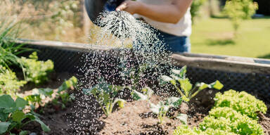 Mit diesen Tipps machen Sie Ihren Garten frühlingsfit