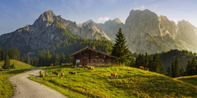 Gipfel des Geschmacks: Das sind die besten Hütten Österreichs