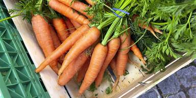 Tag der Karotte: So gesund ist das Superfood