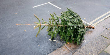 Weihnachtsbaum richtig entsorgen: Diese Regeln sollten Sie beachten