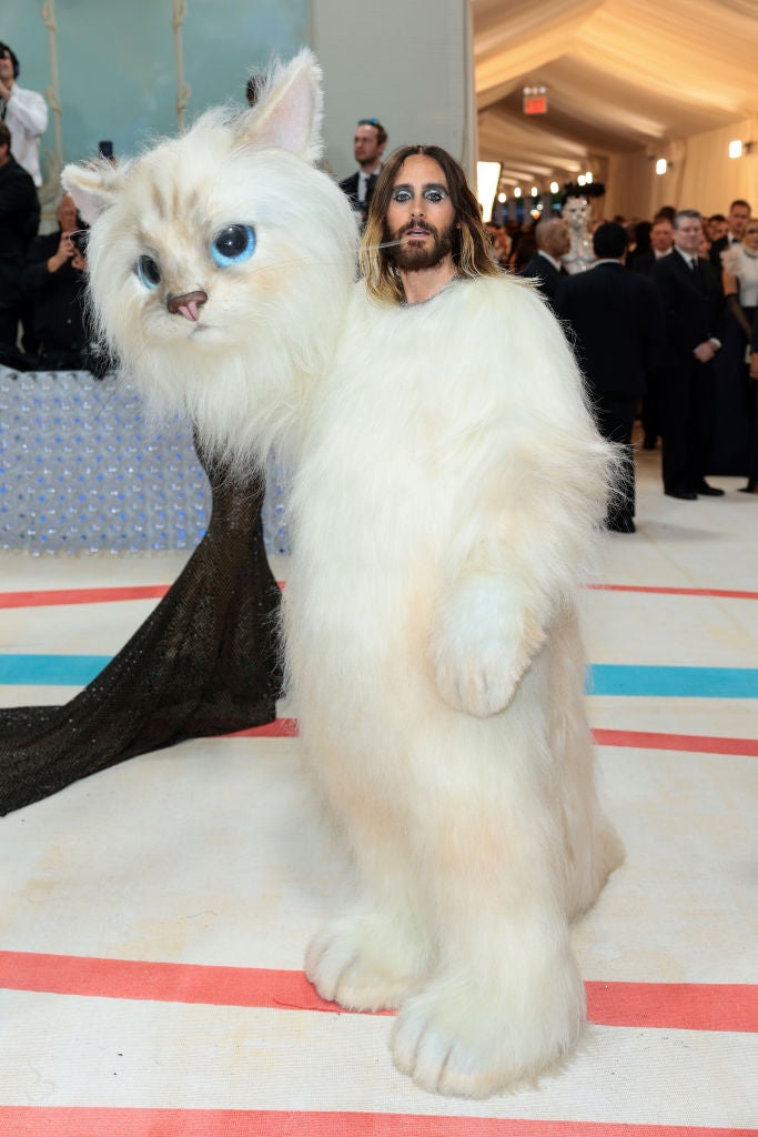 Jared Leto versteckte sich unter einem Katzenkostüm
