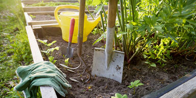 Nichts wächst? Das sind die häufigsten Fehler im Garten