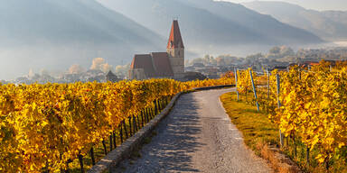 Weinwandern in Österreich: Die schönsten Wege zum Wein