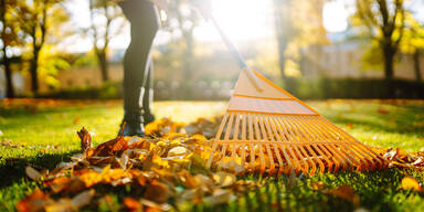 Garten und Balkon auf den Herbst vorbereiten: Diese Arbeiten stehen jetzt an