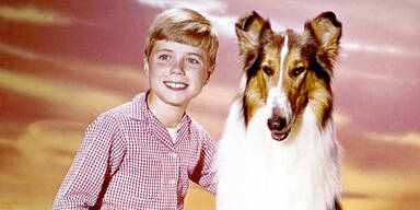 Jon Provost wurde als Timmy Martin in der TV-Serie ''Lassie'' weltbekannt.