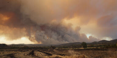 Waldbrände in Alexandroupolis