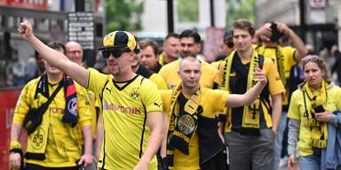 BVB Fans