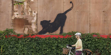 Banksy Katze