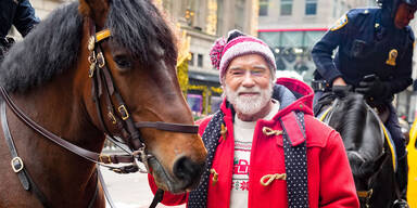 Arnold Schwarzenegger als Santa Claus