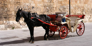 Pferdekutsche Mallorca