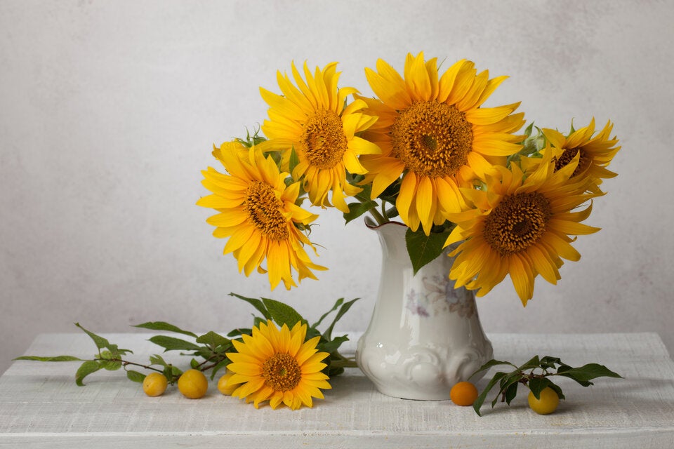 Sags durch die Blume