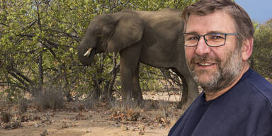 Günter Z. Namibia Elefant totgetrampelt