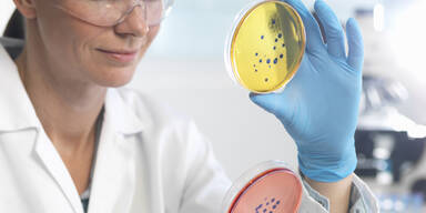 Superkeim antibioikaresistent Labor Bakterien