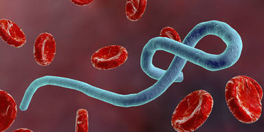 Ebola Symbolbild