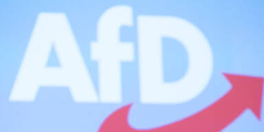 AfD-Landeschefs in Baden-Württemberg zurückgetreten
