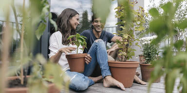 Bepflanzungs-Tipps: So wird der Balkon zur Grün-Oase