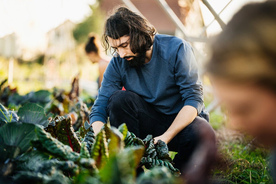 Wirkt wie Medizin: So fit macht Gartenarbeit