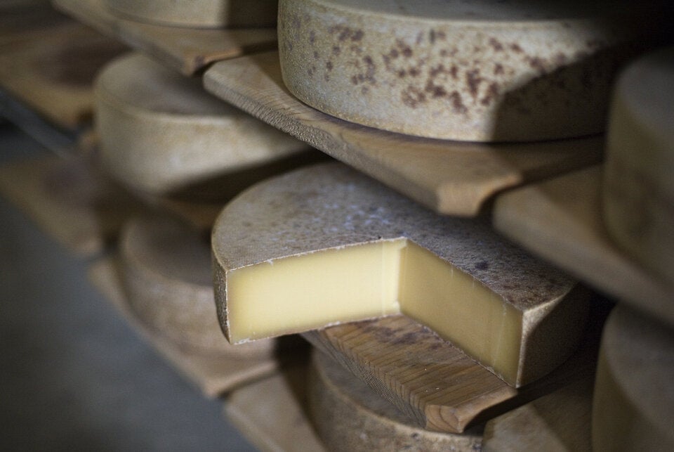 Hochwertige Milch und konsequente Qualitätsarbeit sorgen dafür, dass die Käsespezialitäten von Schärdinger und Tirol Milch im norwegischen Trondheim zu den Besten gekürt wurden.