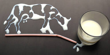 Milch Milchprodukt Kuh Milch im Glas