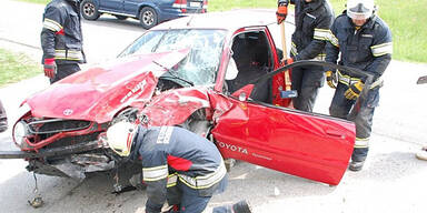 Crash: Reh verursacht Totalschaden