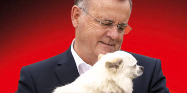 Niessl startet Wahlkampf mit Hund