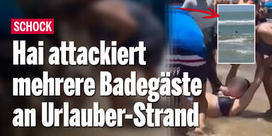 Hai attackiert mehrere Badegäste an Urlauber-Strand