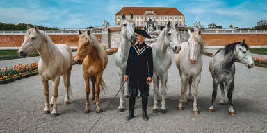 Schloss Hof: Pferdefest im imperialen Ambiente