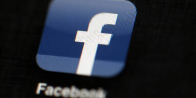Grüne klagen FPÖ wegen Facebook-Hetze
