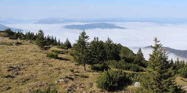 Wienerin (36) stürzte am Berg 60 Meter in die Tiefe