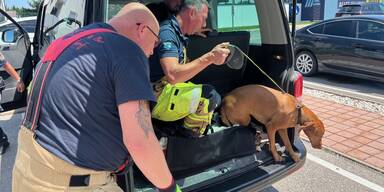 Rettung Hund Ebreichsdorf