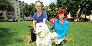 Hund in Bergnot: Happy End für "Luna"
