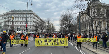 Protest in Wien