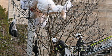 Illegaler Basejumper kracht mit Schirm in Baumkrone