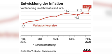 Inflation im Februar laut Schnellschätzung bei 11%.png