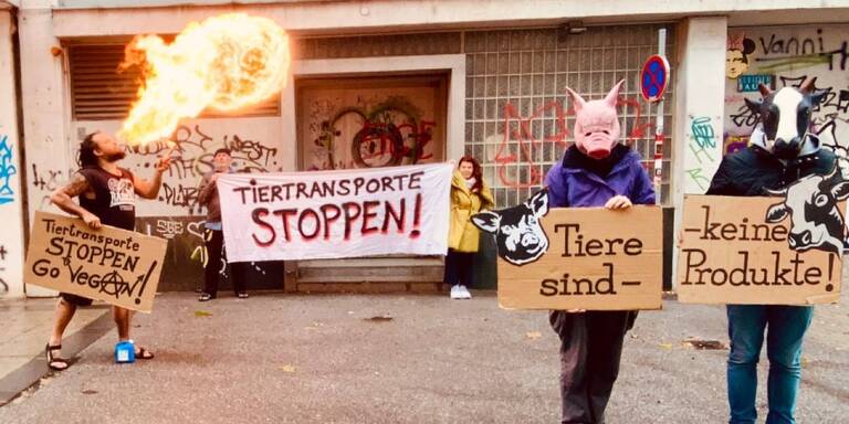 VGT-Proteste gegen Tiertransporte am Internationalen Tag