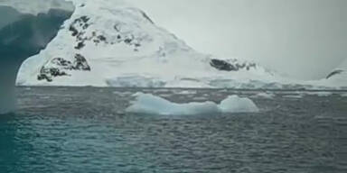 Die polaren Eisschilde schmelzen langsam