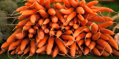 Mann bunkerte 300 Tonnen Karotten - verhaftet