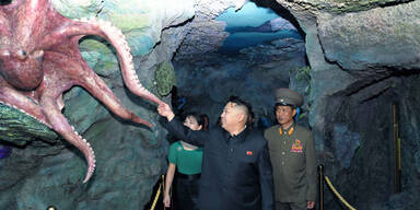 Kim Jong-un: Mit Frau und Krake im Park