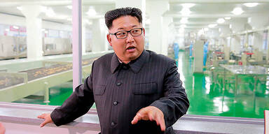 Irrer Kim nimmt umstrittenen Atomreaktor in Betrieb