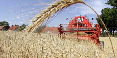 Landwirtschaft wird weiter am EU-Geldhahn hängen