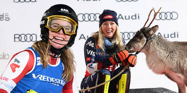 Levi Liensberger Shiffrin